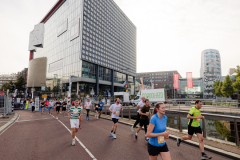 LDDK-20261004-0001-groot-1