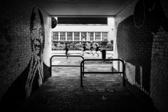 LDDK-20261004-0016-groot